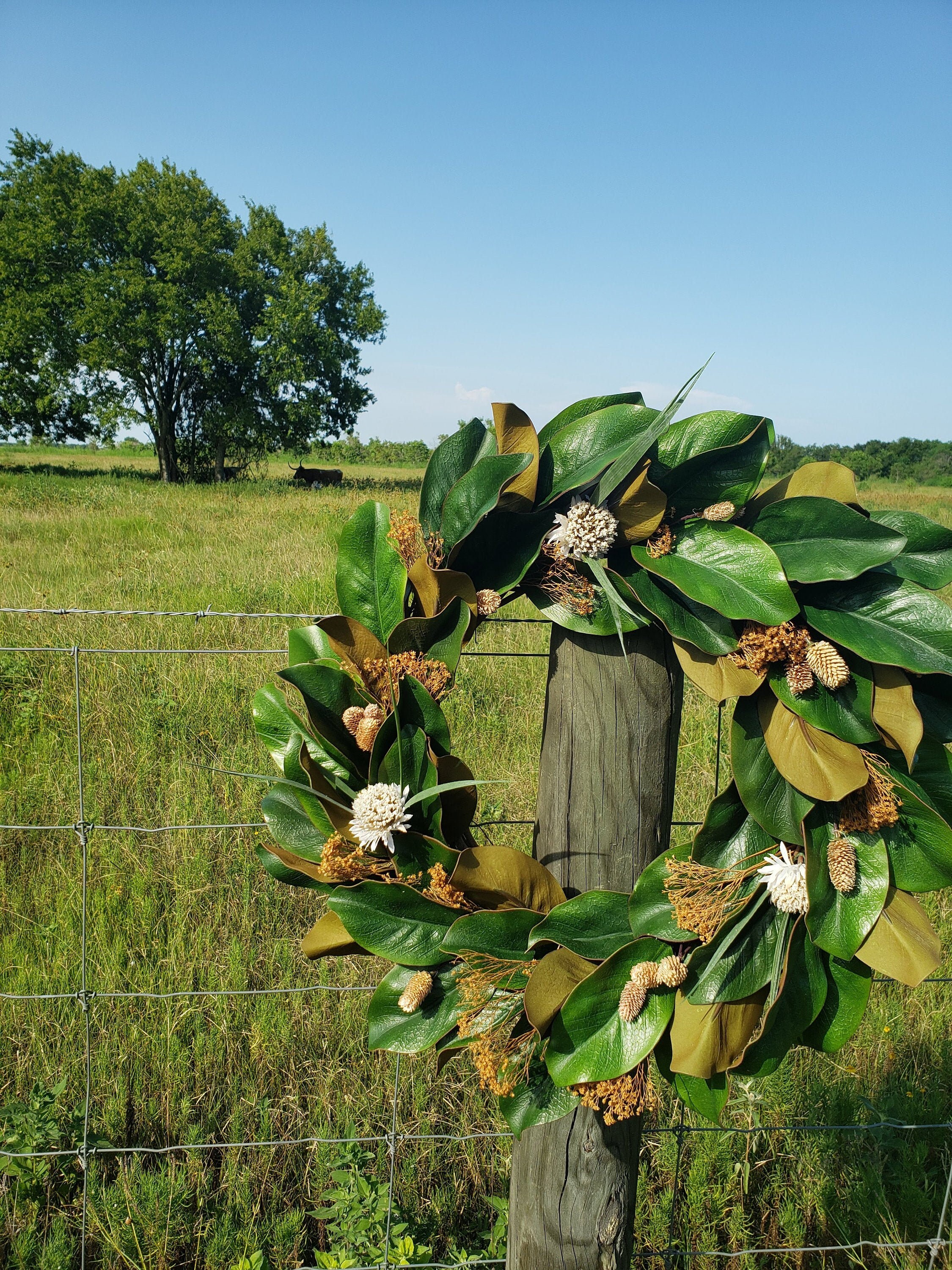 Couronne de Magnolia, Couronne Magnolia d'automne, Ferme Ferme