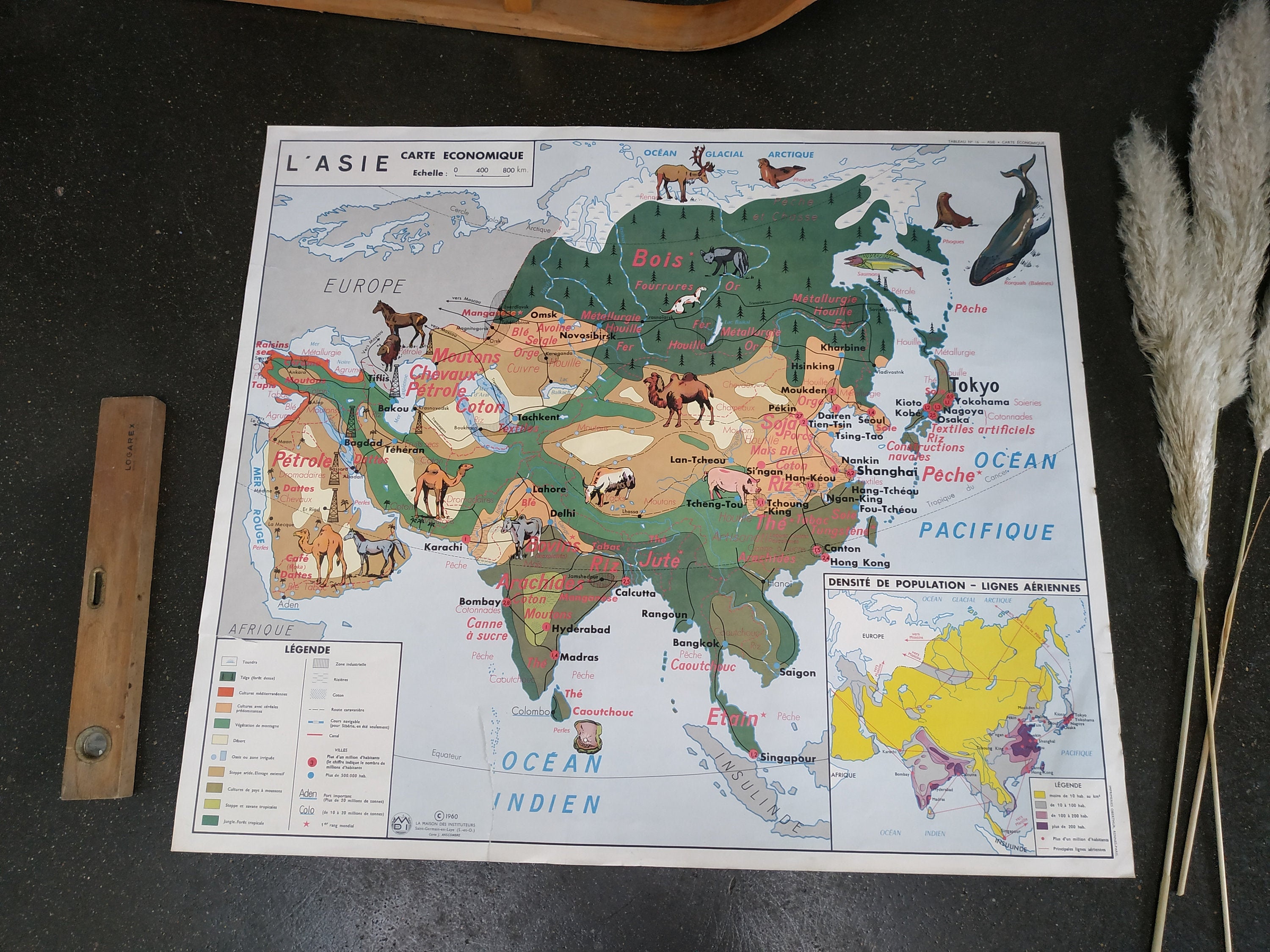 Carte Scolaire Ancienne - Asie/Amérique Du Nord - Carte Economique