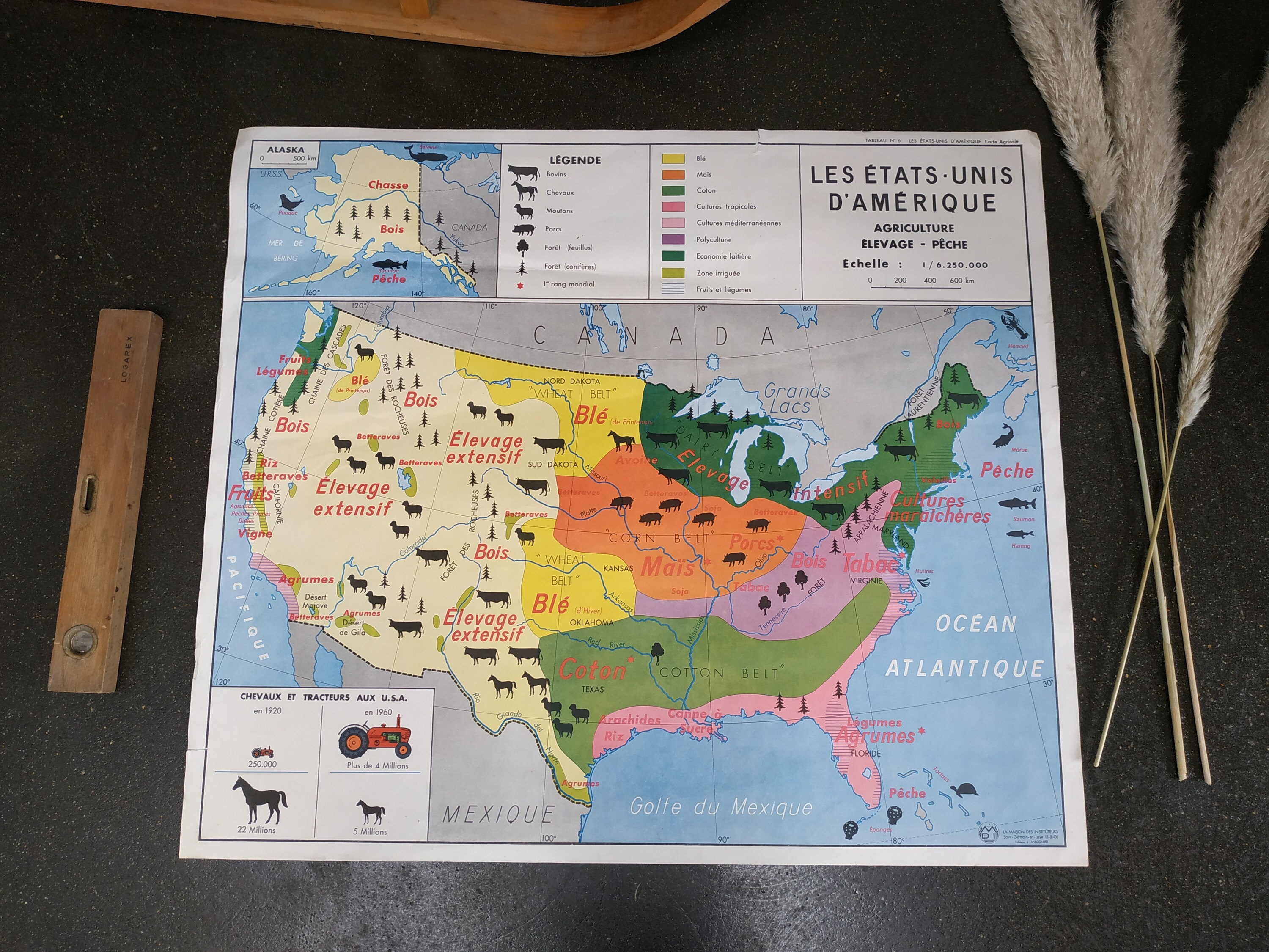 Carte Scolaire Ancienne- Etats Unis/ Iles Britanniques - Agriculture, Elevage et Pêche