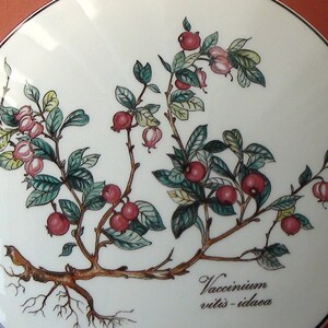May include: A white ceramic plate with a hand-painted illustration of a plant with red berries and green leaves. The plant has a long, brown stem and roots. The text "Vaccinium vitis-idaea" is written in brown script at the bottom of the plate.