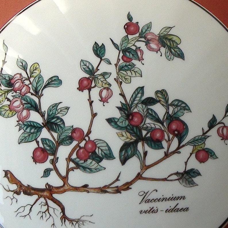 May include: A white ceramic plate with a hand-painted illustration of a plant with red berries and green leaves. The plant has a long, brown stem and roots. The text "Vaccinium vitis-idaea" is written in brown script at the bottom of the plate.
