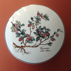 May include: A white porcelain plate with a hand-painted design of a branch of lingonberry (Vaccinium vitis-idaea) with red berries and green leaves. The plate has a gold rim.