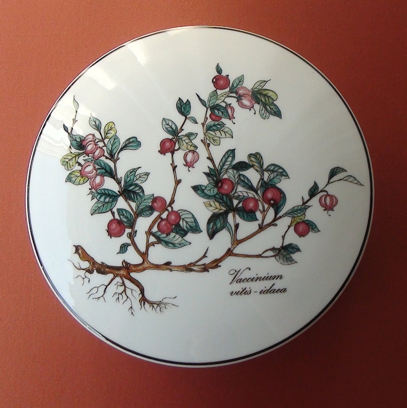 May include: A white porcelain plate with a hand-painted design of a branch of lingonberry (Vaccinium vitis-idaea) with red berries and green leaves. The plate has a gold rim.