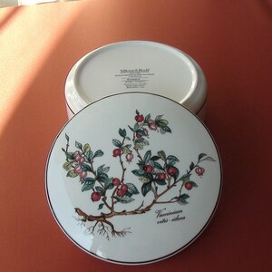 May include: White porcelain lidded box with a botanical illustration of a Vaccinium vitis-idaea plant with green leaves and red berries. The lid has the text "Villeroy & Boch" and "Vaccinium vitis-idaea" on it.
