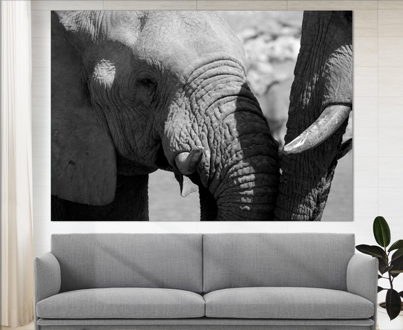 Black and White Elephants Canvas Art Elephants Print Love Etsy