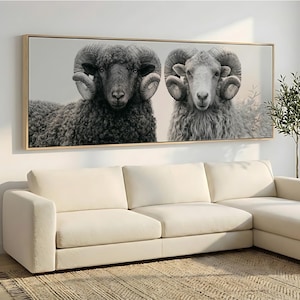Op de afbeelding: Een rechthoekig wandkunstwerk met een zwart-witfoto van twee rammen met grote gekrulde hoorns. De ram aan de linkerkant heeft donkere wol, terwijl de ram aan de rechterkant lichte wol heeft. Het kunstwerk is ingelijst in een dunne houten lijst.