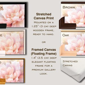 a picture of a pink flower on a white background