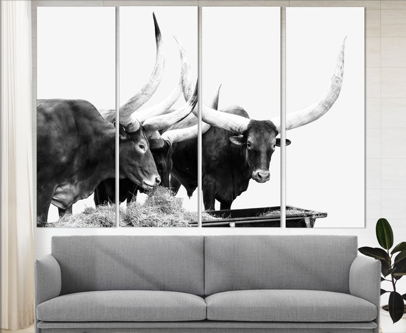 Texas Longhorn Canvas Print Texas Cattle Canvas Art Longhorn Etsy