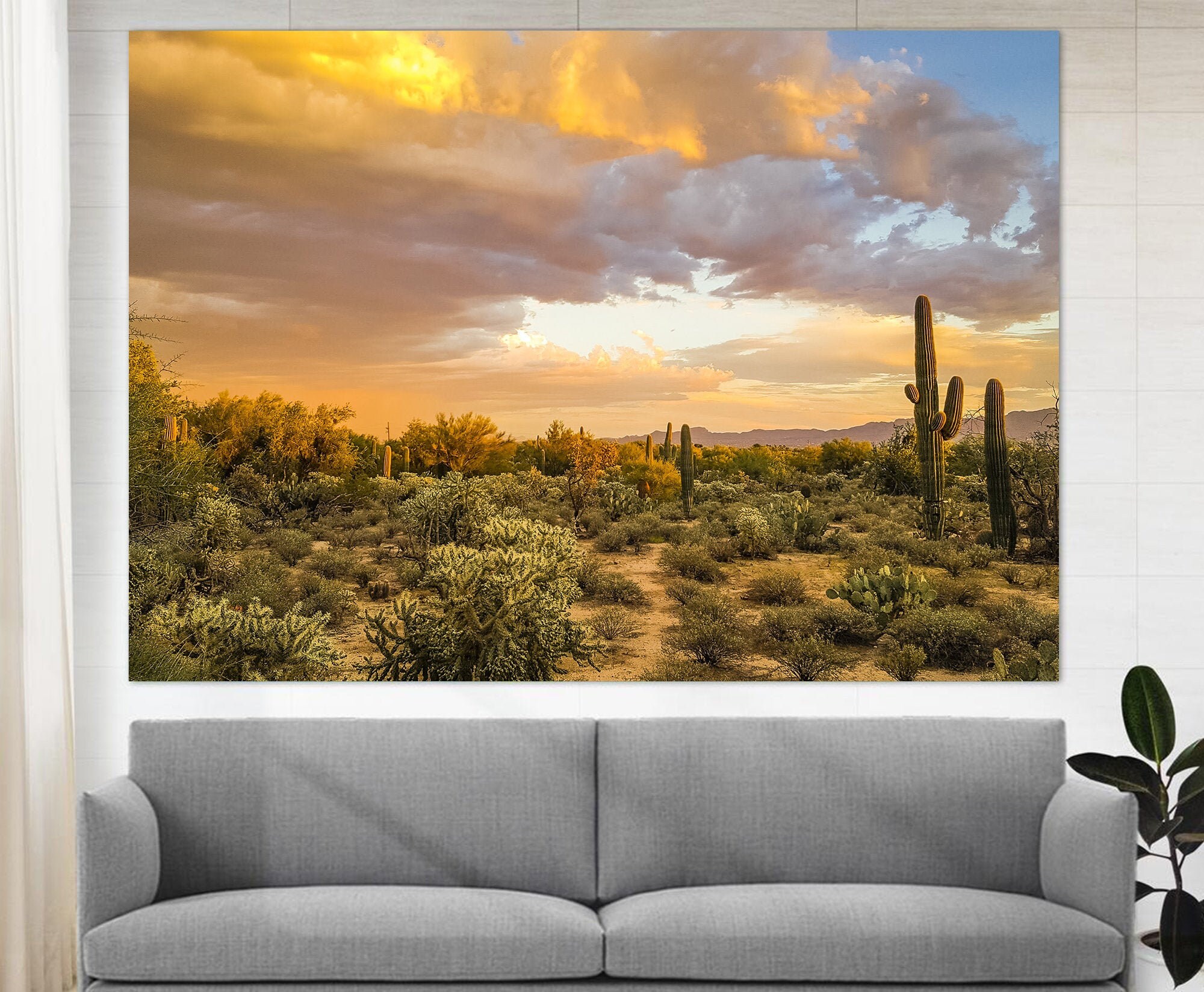 Arizona Desert Canvas Print Sonoran Desert Arizona Wall Art Etsy
