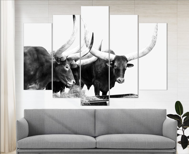 Texas Longhorn Canvas Print Texas Cattle Canvas Art Longhorn Etsy