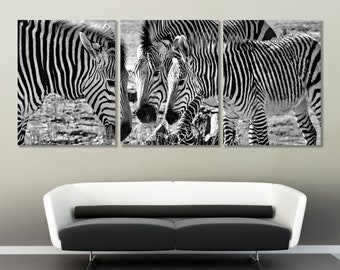 Large Zebra Canvas Print, Animals Wall Art