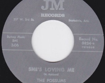 Repro garage punk 6O's - 45t/7' No sleeve- Possums- She's loving me/King in his world