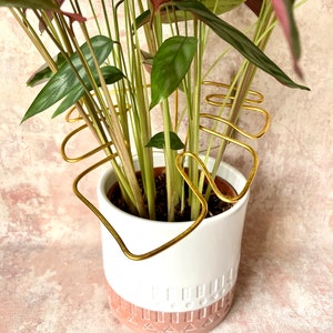 Monstera leaf plant support gold