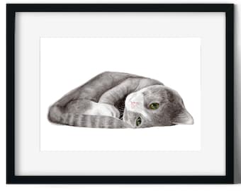 Sleeping Kitten  Art Print, Watercolour cat Art, cute kitten painting, Cute Cat Art, Prints for feline Lovers, Mothers Day Gift