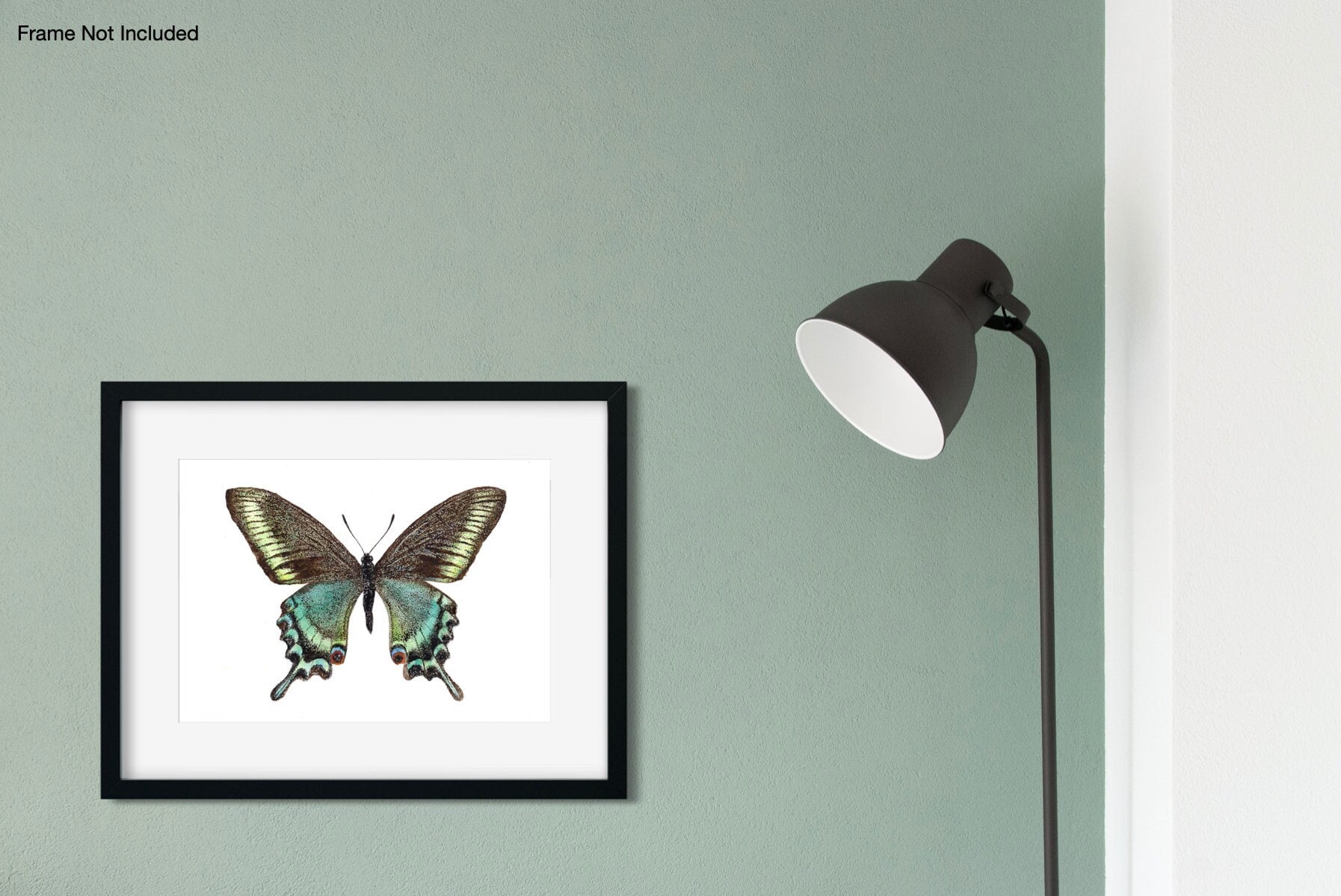 Papillon aquarelle -  Canada
