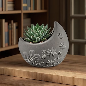 May include: A crescent moon-shaped gray planter featuring embossed star and swirling leaf patterns on its exterior surface. A green succulent plant with pointed, layered leaves is potted inside the curved opening of the ceramic container.