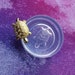 Cute Money Turtle Resin Mold-Animal Tortoise Mold-Transparent Silicone Mold-Dollhouse Mini Money Turtle Mold-Jewelry Making Mold 