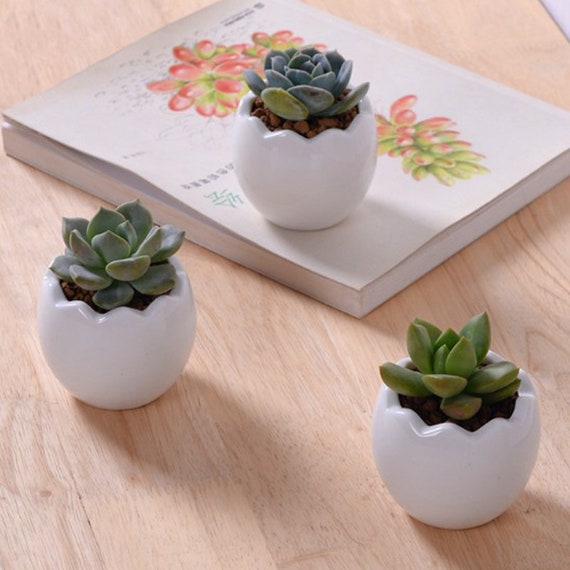 Mini vasi per piante grasse in ceramica con coniglietto pasquale, per piccole piante e oggetti decorativi, 3 per piante (B, A