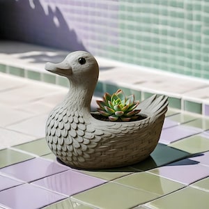 May include: A light gray duck-shaped planter featuring a textured feather pattern on the neck and a woven basket design on the body. A small green and pink succulent plant is nestled inside the hollow back of the duck figure.