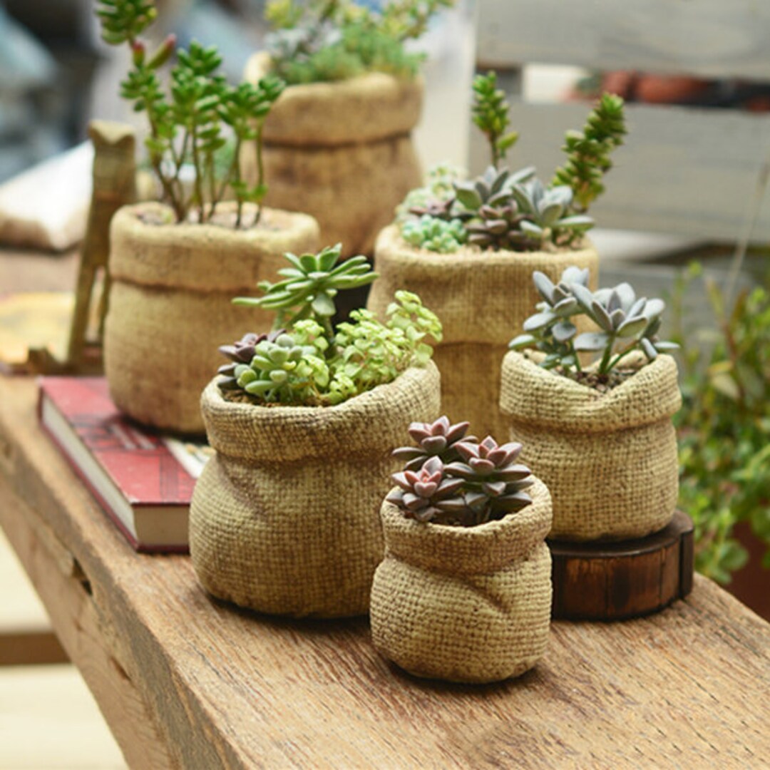 Aazon.co: 5Pcs Flower Pot Silicone Old,Concrete Succulent Planter