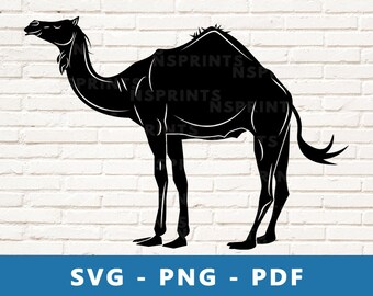 Camel 101 Stencil