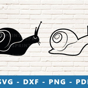 Slak SVG, slak PNG, slak Vector, slak Clipart, Excargot Svg, slak gesneden bestand voor Cricut en silhouet, slak silhouet, slak DXF