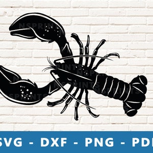Lobster SVG #1, Lobster PNG, Lobster Clipart, Lobster Vector, Lobster Dxf, Lobster Vinyl, Lobster Cut File for Cricut and Silhouette