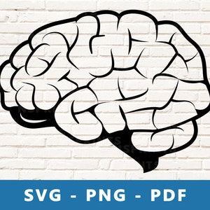 May include: Black and white line art illustration of a human brain. The brain is depicted in a side view, with the left hemisphere facing the viewer. The illustration is detailed and shows the folds and convolutions of the brain.