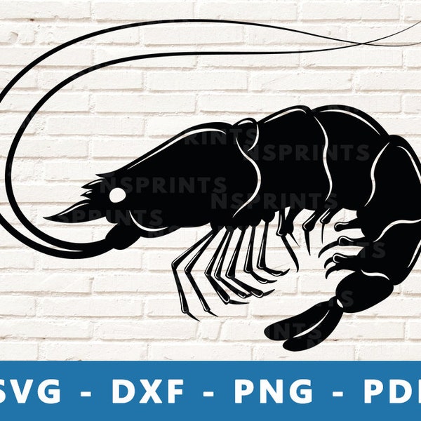 Shrimp SVG #1, Shrimp PNG, Shrimp Clipart, Shrimp Vector, Shrimp Dxf, Shrimp Vinyl, Shrimp Cut File for Cricut and Silhouette