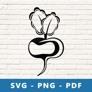 Turnip SVG, Turnip PNG, Turnip Clipart, Turnip Cut File, Turnip Stencil, Radish Svg, Vegetable Cricut Silhouette Cut File, Print At Home