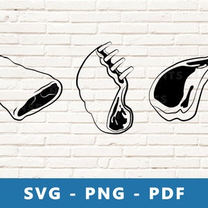 May include: Three black and white line drawings of different cuts of meat. The cuts are a ribeye, a sirloin, and a flank steak.