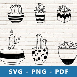 Suculentas SVG, Cactus SVG, Vector suculento, Paquete de imágenes prediseñadas de cactus, Archivo de corte de plantas lindas, Archivo de corte de silueta Cricut de cactus, Imprimir en casa