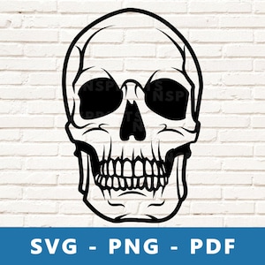 Schedel SVG, schedel PNG, schedel logo gesneden bestand, menselijke schedel stencil, schedel vector, schedel afbeelding voor Cricut silhouet/, print thuis