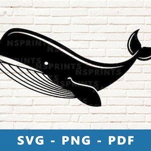 Whale SVG, Whale PNG, Whale Clipart, Whale , Whale Cut File, Whale Stencil, Cricut Silhouette Cut File, Print At Home