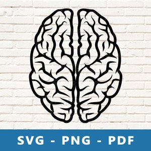 Gehirn SVG, Gehirn PNG, Gehirn Clipart, Gehirn Schnittdatei, Gehirn Schablone, Gehirn Cricut Silhouette geschnitten Datei, Print At Home
