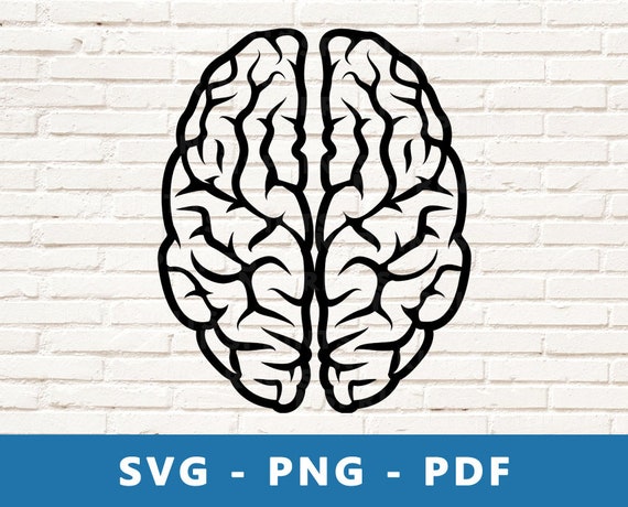 Download Brain Svg Brain Png Brain Clipart Brain Cut File Brain Etsy