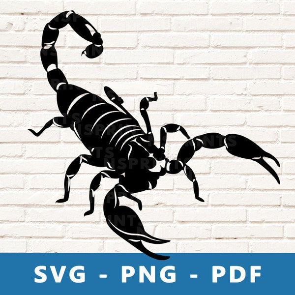 Scorpion SVG, Scorpion PNG, Scorpion Clipart, Scorpion Cut File, Scorpion VEctor, Scorpion Image for Cricut Silhouette  Cut, Print At Home