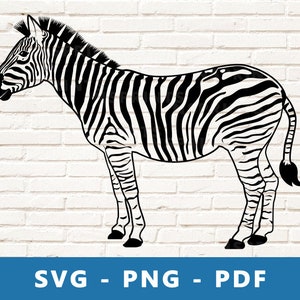 Zebra SVG, Zebra PNG, Zebra Clipart, Zebra Cut File, Zebra Stencil, Safari Animals Svg, Zebra Cricut Silhouette  Cut File, Print At Home