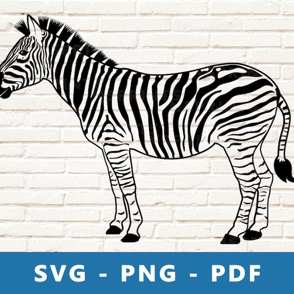 Zebra SVG, Zebra PNG, Zebra Clipart, Zebra Cut File, Zebra Stencil, Safari Animals Svg, Zebra Cricut Silhouette  Cut File, Print At Home