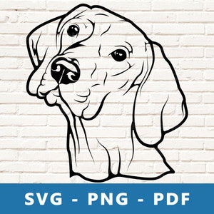 Vizsla SVG, Hund SVG, ungarischer Hund, ungarische Vizsla geschnitten Datei, Hund Gesicht Schablone, Hund Cricut Silhouette Silhouette geschnitten Datei, Druck zu Hause