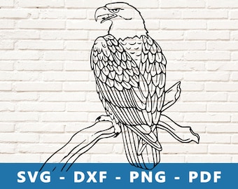 Eagle SVG, Eagle PNG, Eagle Clipart, Eagle , Eagle Cut File, Eagle Stencil, Eagle on Tree Image Cricut Silhouette Cut File