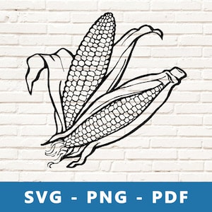 May include: A black and white line drawing of two ears of corn with husks.