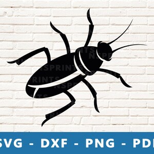 Könnte beinhalten: Schwarze Silhouette einer Kakerlake mit langen Antennen und sechs Beinen. Die Kakerlake ist nach rechts gerichtet und befindet sich in Flugposition.