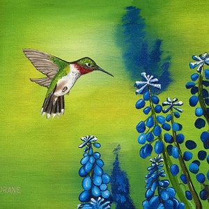 Happy Bird, Hummingbird in flight 11&quot; x 14&quot; The first (Giclée print) of my my collection