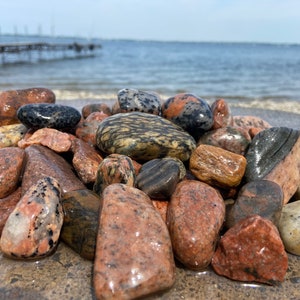 4+ lbs Natural beach stones river rock (med/ large) for Terrariums, Aquariums, Planters, Water Features Or Rock Tumbling