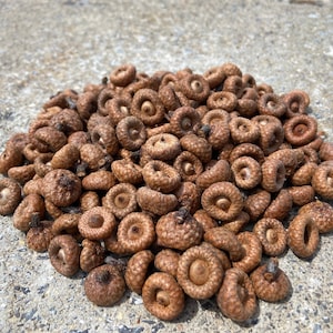 600+ (1 LB) Small Tiny Natural Acorn Buds, Real miniature acorns for Holiday Crafts, Wreaths, Fairy Houses, Rustic Fall Decor