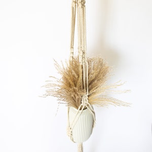 Simple Statement Macrame Plant Hanger on wooden ring