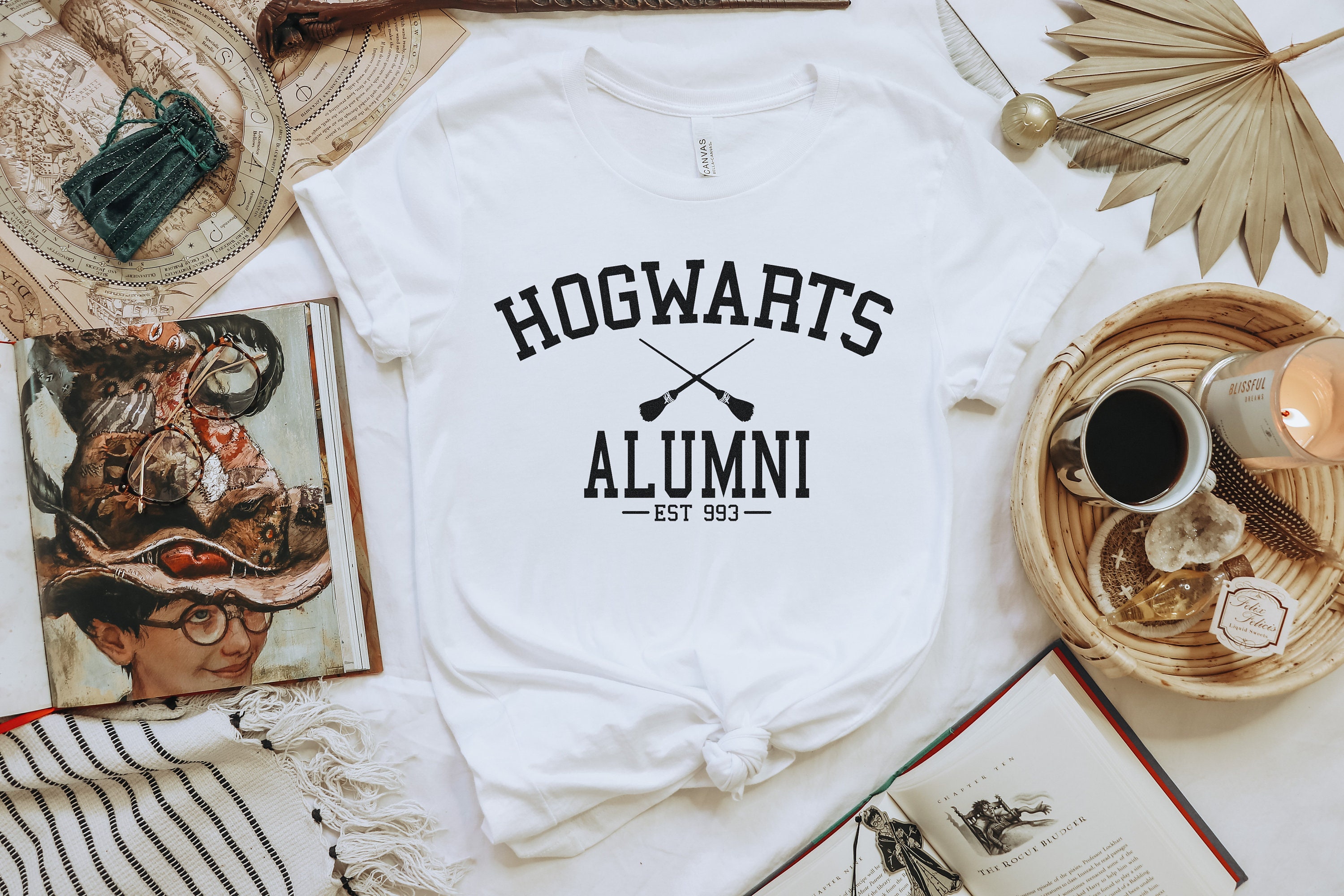 Discover Magic School Alumni Harry Potter T-Shirt