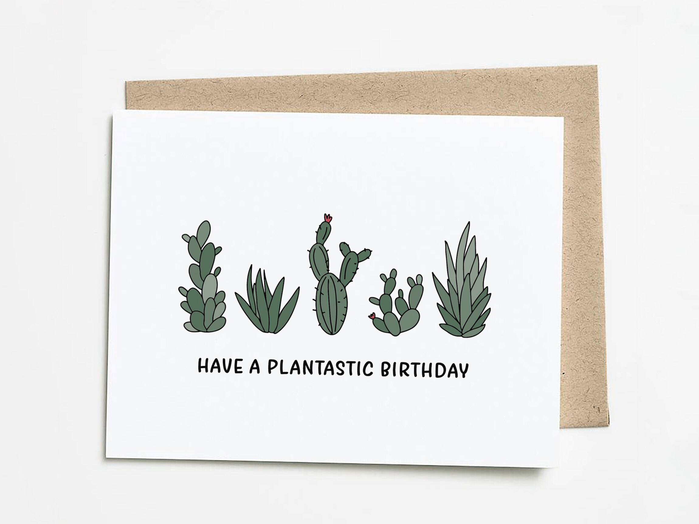 Funny Plant Birthday Card Succulent Birthday Gift Etsy Singapore