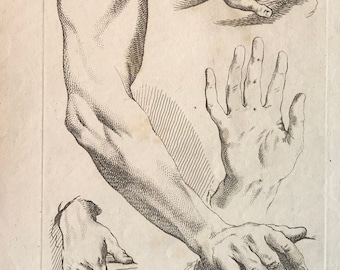 Een gravure uit de 'Nouvelle Methode Pour Apprendre a Dessiner Sans Maitre'. Frans.  1740. Afmeting: 29 x 23 cm